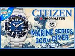 Is This A Possible Replacement For The 200m Solar Promaster Diver? | Citizen Promaster BN0260-54L