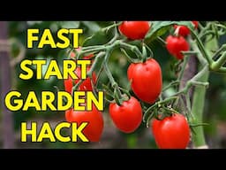 Gardening Hacks To Get You Started Early