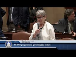 Special Session - Senate Floor Session - Part 3 - 06/09/25