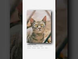 Sony Camera App for Android 2025 ✅ | DSLR Quality in Mobile