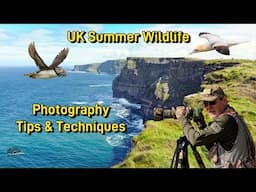 Tips & Techniques for capturing stunning images of UK wildlife this summer.