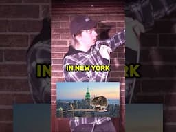 NYC Rat Freestyle Rap 🔥 #freestyle #freestylerap #comedy #NYC #rats