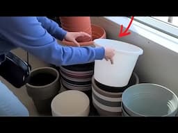 Wrap string light around a Dollar Store pot for this BREATHTAKING new porch idea!