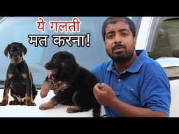 केवल दिखावे पर ना जाए, लाने के पहले ये अन्तर जरूर जाने! German Shephard vs doberman