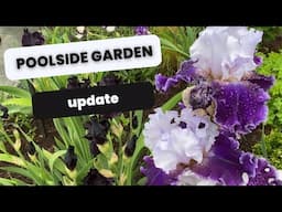 💦Poolside Garden peaceful Garden Tour 💦