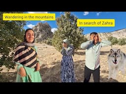 In Search of a Wife: Mojtaba's Poisoning by His Mother: Theft from the House
