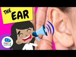 👂🎧 THE EAR | Natural Science Educational Videos for Kids | @HappyLearningENG
