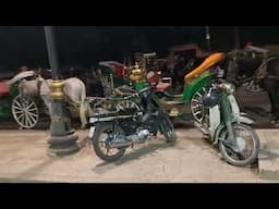 How sensible countries keep their streets clean and keep horses.