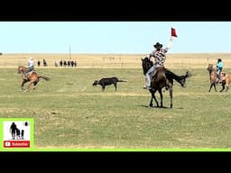 Pasture Team Roping Round 1 - 2024 Tom Horn Days Cowboy Rendezvous | Saturday (Censored)