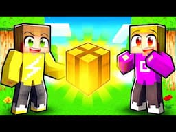 Pakketje Gevonden In Kleurstad (Minecraft Survival)