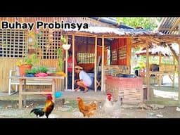 Buhay Probinsya | Buhay Bukid | Philippine Countryside Nagluto ng Pork Adobo @amigacha
