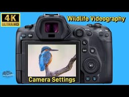 An introduction into how to make wildlife videos with tips & techniques to capture stunning video.