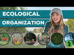 Ecological Organization | Organism to Biosphere