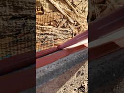 Sealing Bottom Plate Framing - Typar Liquid Flash #shorts #typar #liquidflash #wrb #flashing