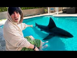 HAY UN TIBURON EN LA PISCINA! 💦❌