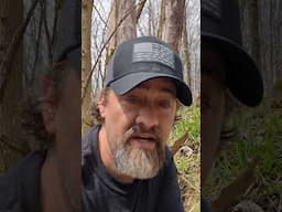 High elevation Morels 2025