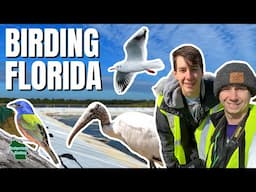 A Ridiculous Day of Birding at the Space Coast Birding and Wildlife Festival!