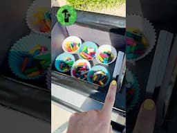 Earth Day Kids Science Activity 🌍 #earthday