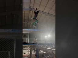 Palmer throws Swann off the scaffold!