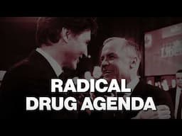 A decade of Liberals brought crime, chaos, drugs and disorder