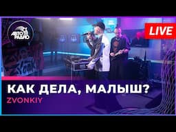 Zvonkiy - Как Дела, Малыш? (LIVE @ Авторадио)