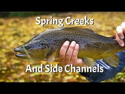 Unlock The Magic Of Spring Creeks and Side Channels