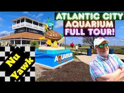 🟡 The New Atlantic City Aquarium Full Tour: Unveiling The Newest Features, Exhibits & Ticket Deals!