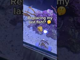 Replacing my fish.. :(