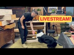 LIVESTREAM Week 5! Restorations, Project Updates, Dog Updates, and More…