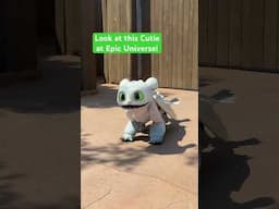 Baby Dragons at Epic Universe