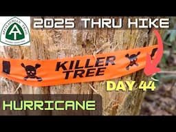 Appalachian Trail Thru Hike 2025 | Day 44 | Grayson Highlands Hurricane Mountain Shelter #thruhike