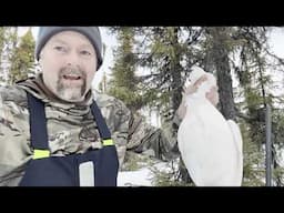 Grueling Ptarmigan & Grouse Hunt