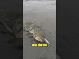 Sand Bass hit so hard!