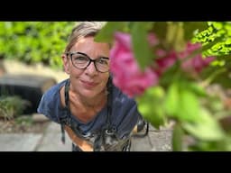 Katie Hopkins: On Liverpool. What is NOT being said…