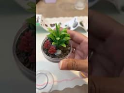 Part 3! #minibrands #unboxing #minibrandsopening #garden #walmartfinds #collector #recap #blindbox