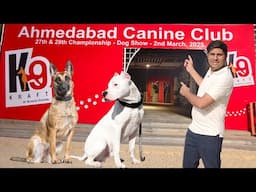 Dog Show in Ahmedabad | 2025 Dog Show by Ahmedabad Canine Club | KCI Show