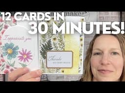 Let's Make 12 Cards in 30 Minutes!