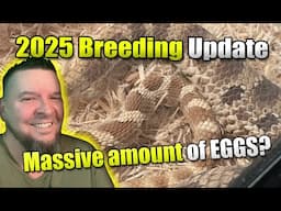 Breeding Update 2025! It's AMAZING. More EGGS incoming!