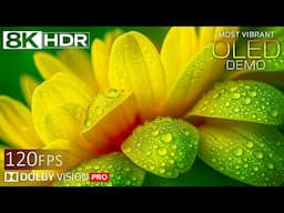 Most Beautiful Dolby Vision Views in 8K HDR | Ultra Realistic Visual Experience