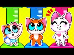 Health Checkup Day | Kids Stories About Health | Useful Stories | Healthy Habits | Purr-Purr