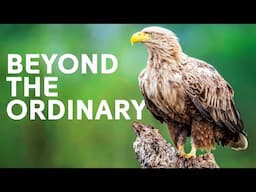 What Makes These Exotic Animals Extraordinary?