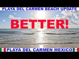 PLAYA DEL CARMEN MEXICO BEACH AND SEAWEED UPDATE - BEACHES ARE LOOKING BETTER! LESS SARGASSUM