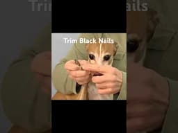 Secret to Trim Black Nails