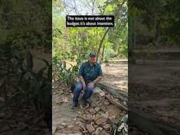 We should maintain our parks 🌿