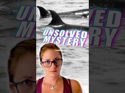 What Happened to the Mysterious L.A. Orcas?