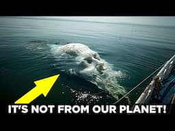 Scientists Stumped! Camera Captures BEING OF EXTRATERRESTRIAL ORIGIN!