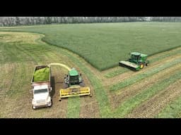 Harvesting Winter Rye for Silage