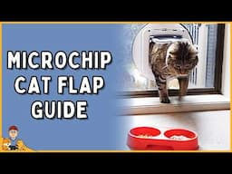 The Ultimate Cat Door? (Sureflap microchip cat door review)