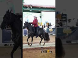 Legado del Pórtico, 1er puesto en la categoría 78 a 100 meses en la Feria Homenaje a las Madres 2025