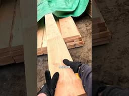 28 Days to frame this project... PS... I am NOT a carpenter...